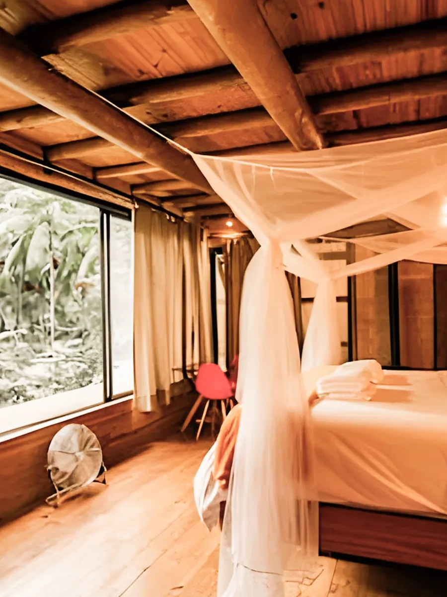 A bed under a canopy, open to the forest