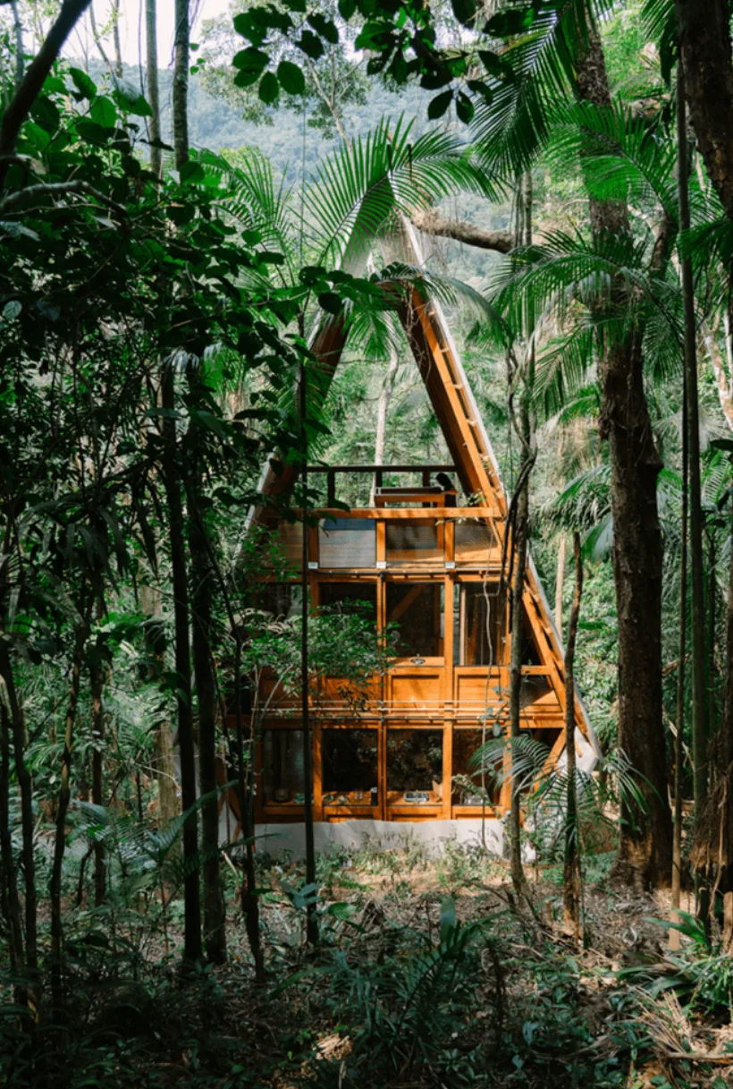 Casa Macaco — tree-house-style villa